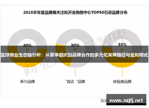 篮球商业生态链分析：从赛事组织到品牌合作的多元化发展路径与盈利模式