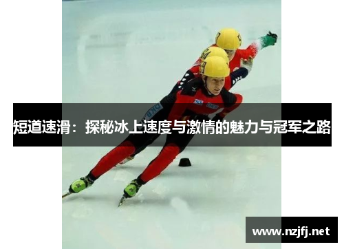 短道速滑：探秘冰上速度与激情的魅力与冠军之路